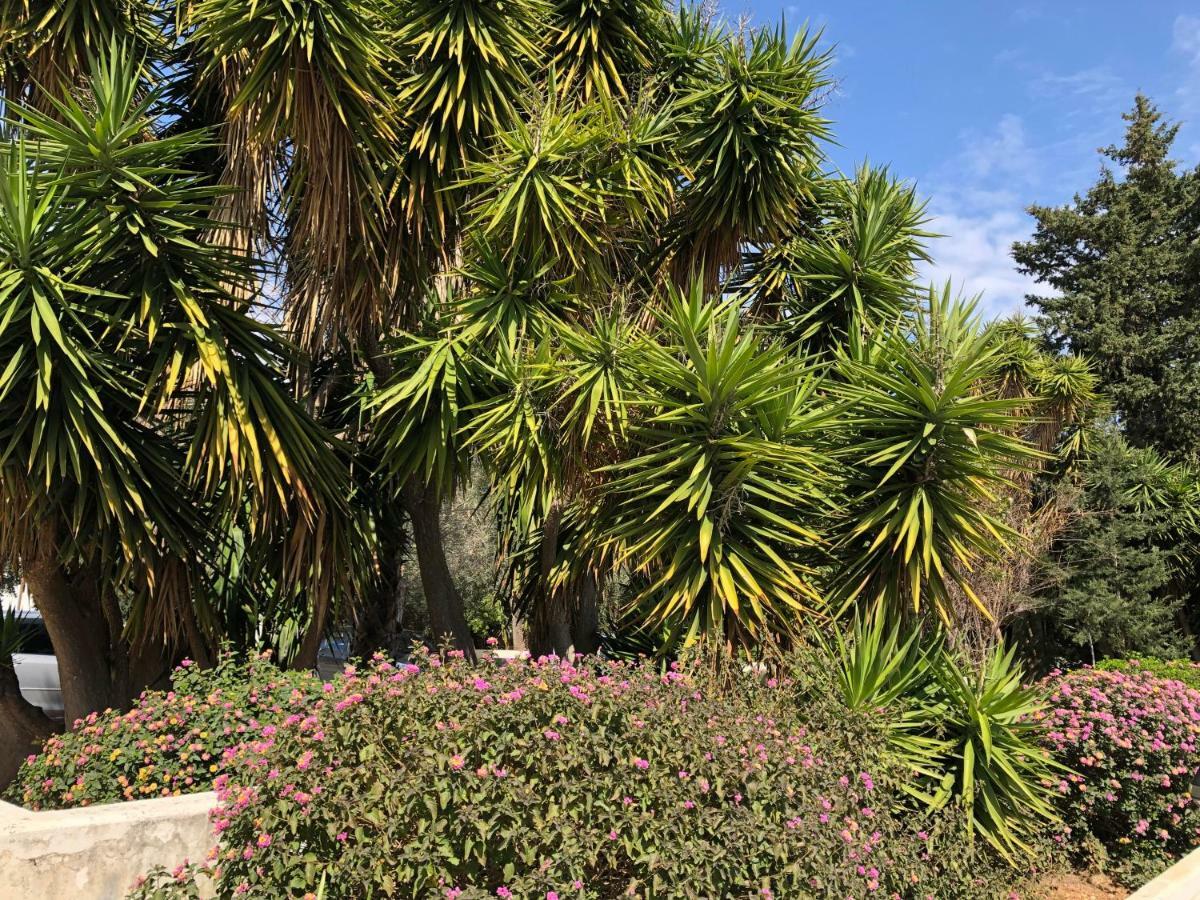 Limnaria Westpark 2 Bdrm Apartment 122 Paphos 外观 照片